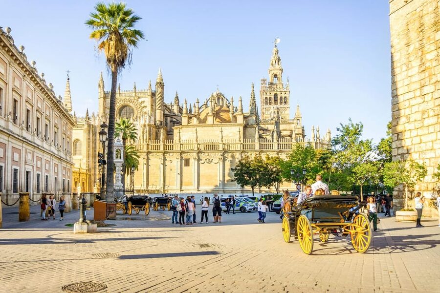 From Costa del Sol: Guided Tour of Seville - Key points to know before booking