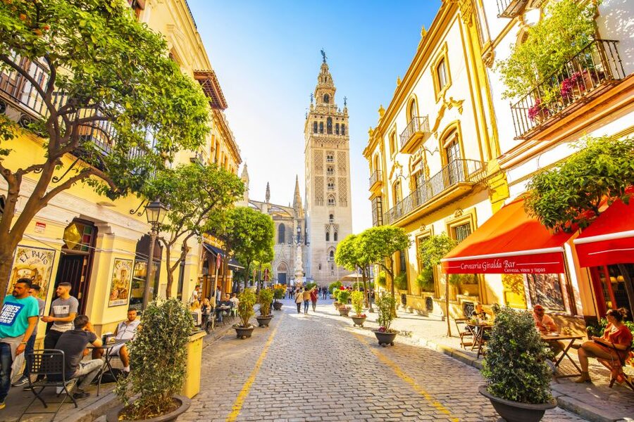 From Costa del Sol: Guided Tour of Seville - Guide quality and group management