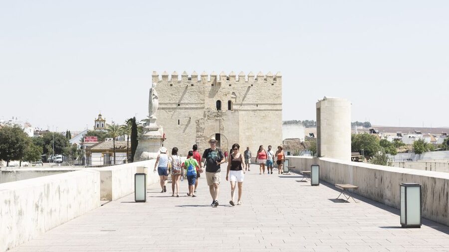 From Costa del Sol & Malaga: Cordoba Guided Day Tour - Key points at a glance