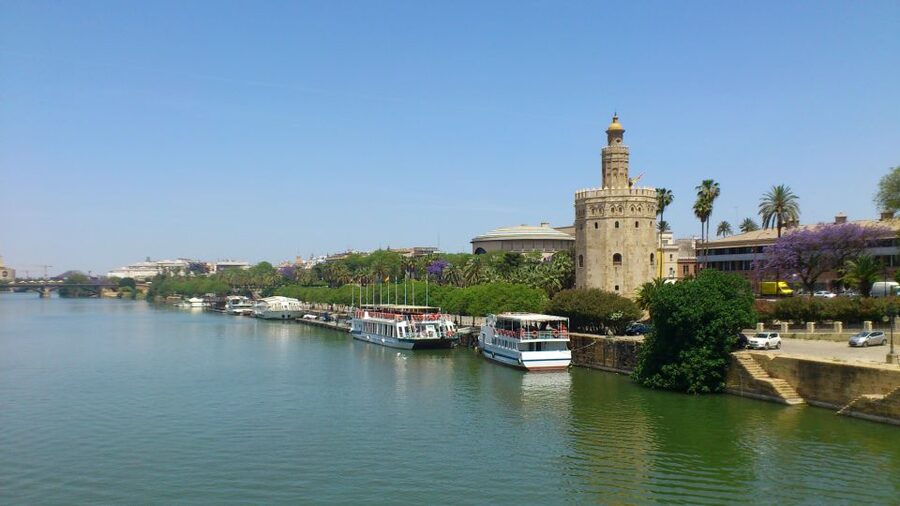 From Costa del Sol & Malaga: Seville Day Trip - Ending at the Torre del Oro
