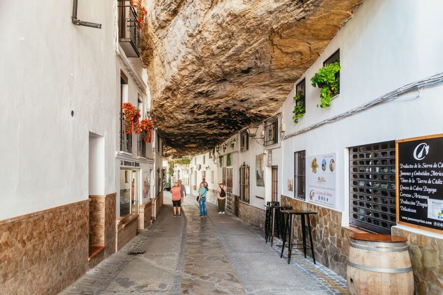 From Costa del Sol: Ronda and Setenil de las Bodegas - The language and guide setup