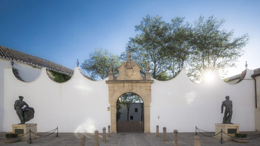 From Costa del Sol: Ronda Village Tour w/ Maestranza Ticket - The Coach Ride from Costa del Sol