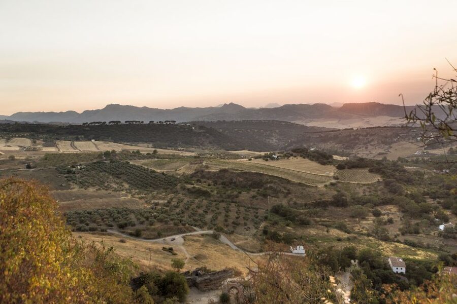 From Costa del Sol: Ronda Village Tour w/ Maestranza Ticket - The Gorge, Bridge, and Best Photo Stops