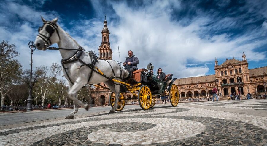 From Costa del Sol: Seville and Royal Alcázar Palace - Entering the Royal Alcázar of Seville
