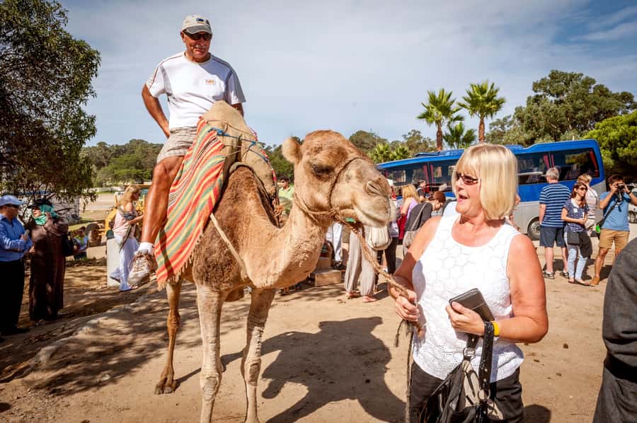 From Costa del Sol: Tangier Full-Day Tour by Ferry - Walking through the Kasbah and Medina