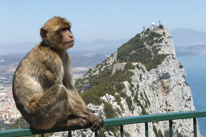 From Costa del Sol: The Gibraltar classic Rock tour - Key points to know before booking