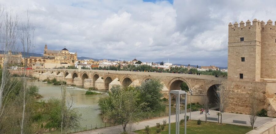 From Malaga and Costa Del Sol: Cordoba Day Trip - Five hours among Córdoba’s old streets