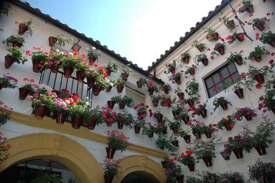 From Malaga and Costa Del Sol: Cordoba Day Trip - Alcázar, gardens, and the Roman Bridge