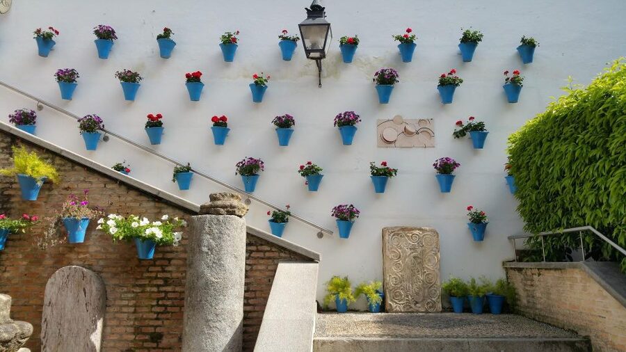 From Malaga and Costa Del Sol: Cordoba Day Trip - Who should book this Córdoba excursion?