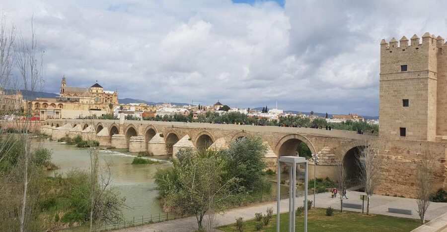 From Malaga and Costa Del Sol: Cordoba Day Trip - The Costa del Sol pickup and bus ride