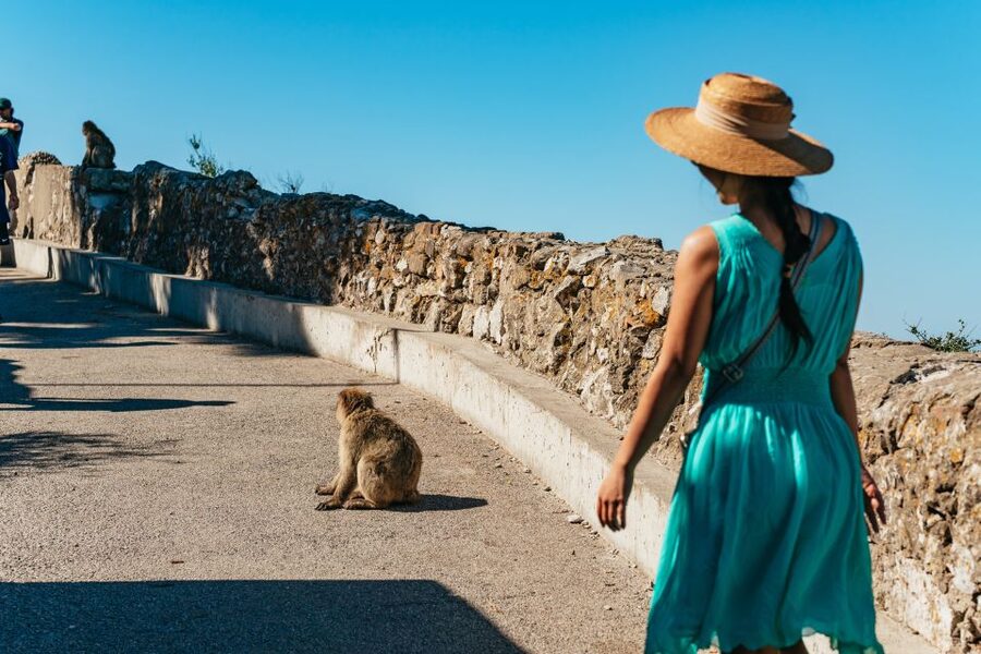 From Malaga and Costa del Sol: Gibraltar Tour - Why Gibraltar makes a worthwhile day trip from Malaga