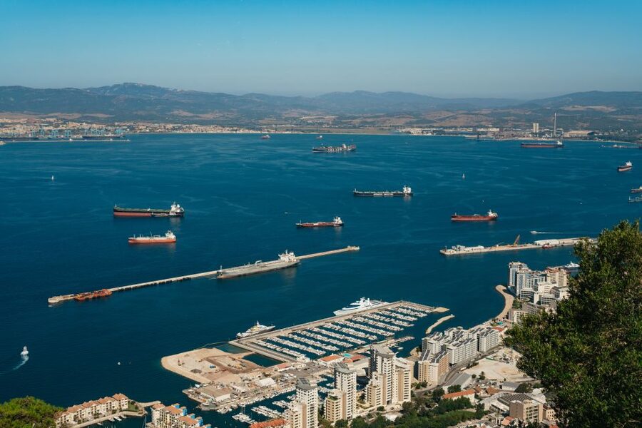 From Malaga and Costa del Sol: Gibraltar Tour - The guide and the feel of the day