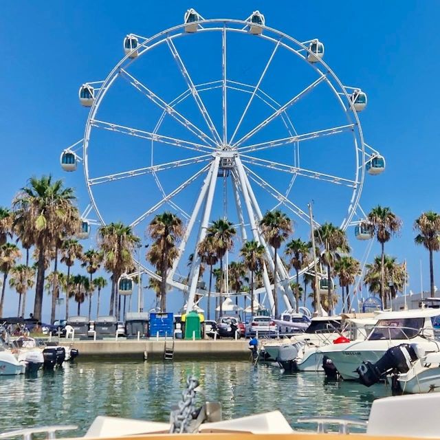 From Málaga: Boat Rental with No License Required - Music, picnic space, and the condition of the boat