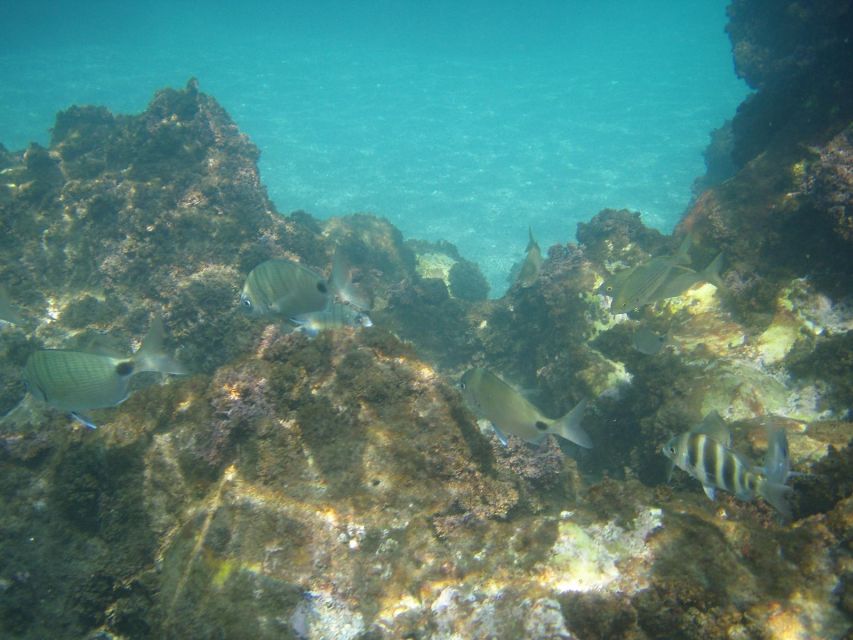From Malaga: Cliffs of Maro Hike w/ Beach Visit & Snorkeling - Who should book this Maro hike?