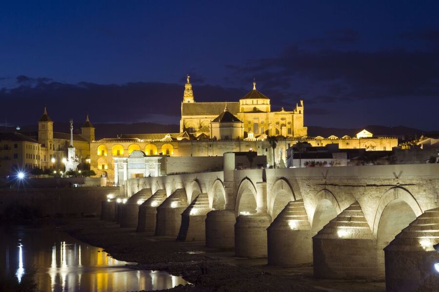 From Málaga: Córdoba Mosque Guided Tour - Who should book this Córdoba day trip?