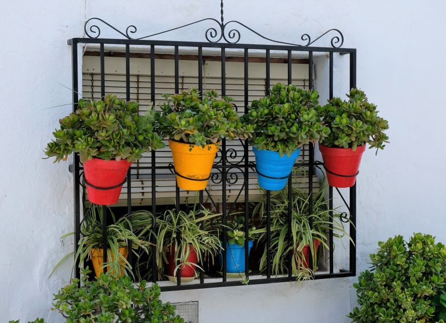 From Málaga /Costa del Sol: Trip to Nerja & Frigiliana - The ride east from Málaga and the Costa del Sol
