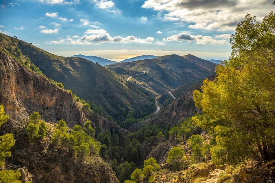 From Málaga: El Saltillo Gorge and White Village Hiking Tour - From Málaga to Canillas del Aceituno