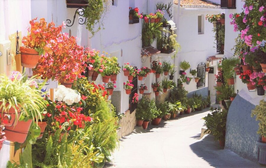 From Málaga: El Saltillo Gorge and White Village Hiking Tour - Who should book this hike?