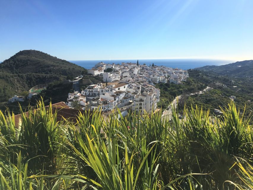 From Málaga: Frigiliana Hiking Tour with Wine & Appetizers - Who will enjoy this Frigiliana outing