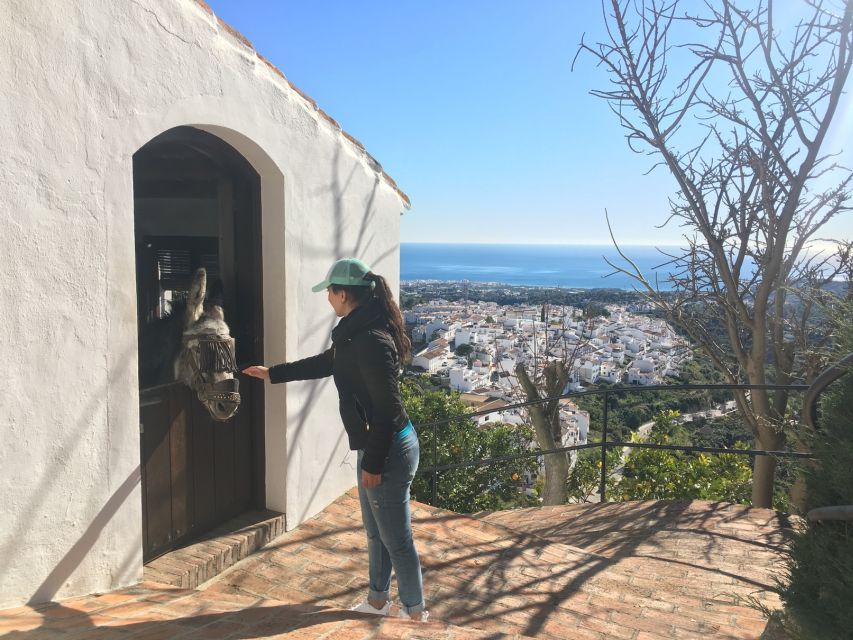 From Málaga: Frigiliana Hiking Tour with Wine & Appetizers - Walking through Frigiliana before the countryside