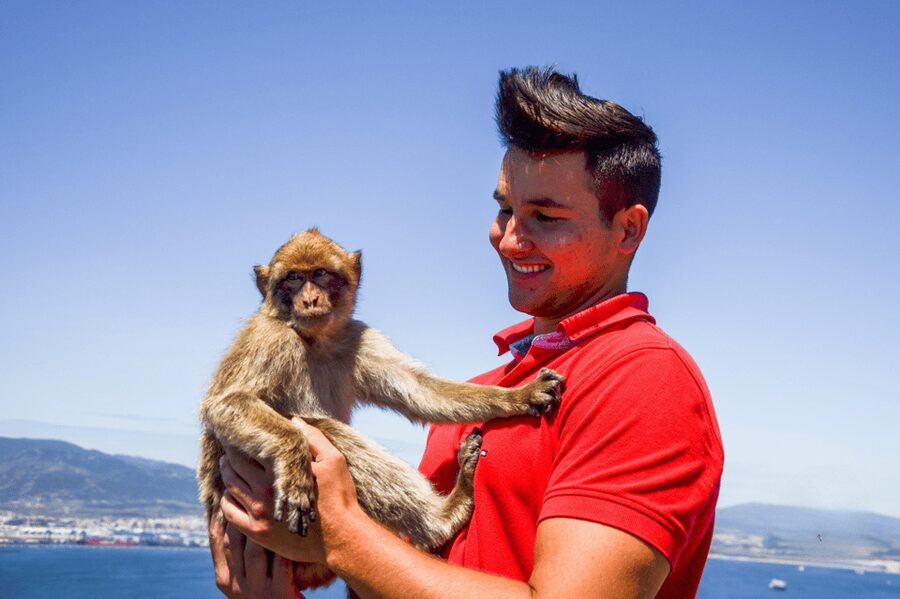 From Malaga: Full-Day Trip to Gibraltar - Five to six hours in Gibraltar, with choices to make