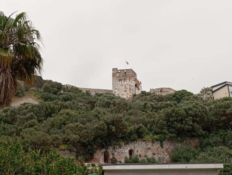 From Málaga: Gibraltar Day Trip - Five hours in Gibraltar: choose your own pace