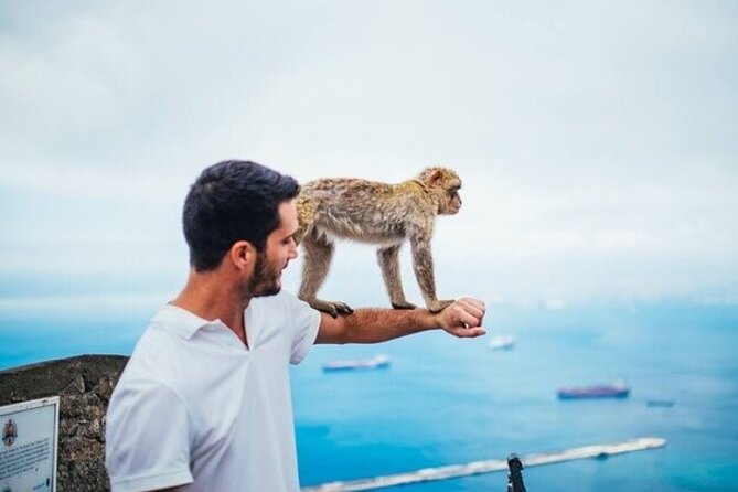 From Malaga, Gibraltar excursion with transport - Free time in Gibraltar town