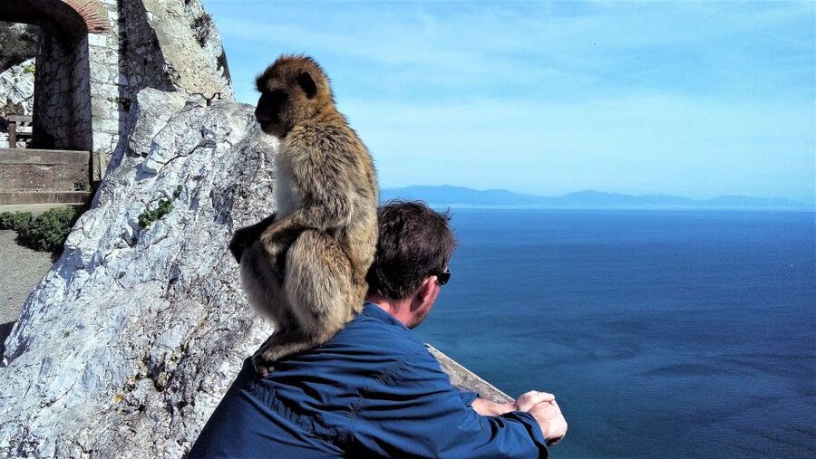 From Málaga or Marbella: Private Gibraltar Tour - Why Gibraltar makes a memorable day from the Costa del Sol
