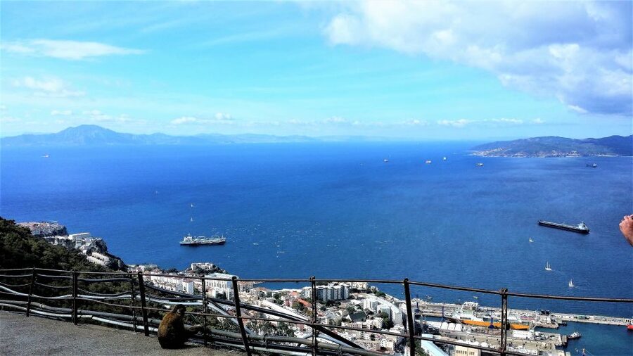 From Málaga or Marbella: Private Gibraltar Tour - The Barbary macaques at Apes’ Den