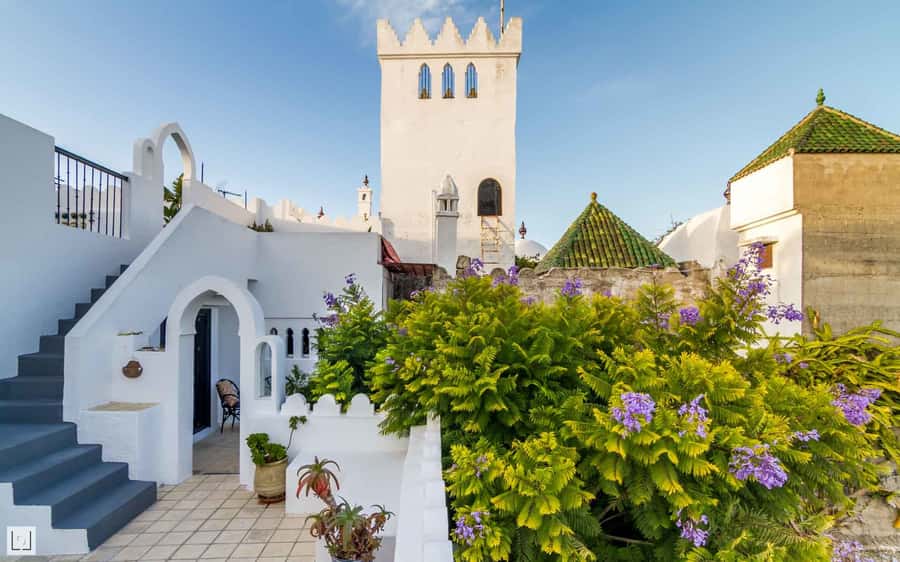 From Malaga or Tarifa: Private Tangier Day Tour - The guides and service style
