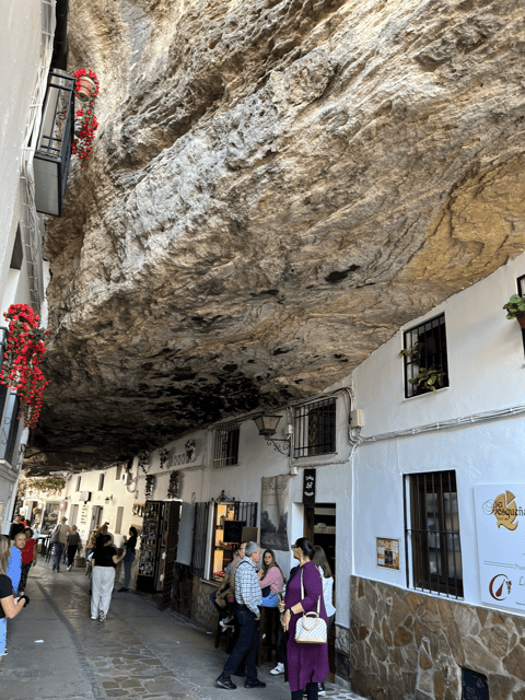 From Malaga: Ronda and Setenil de las Bodegas Day Trip - How the schedule affects your day