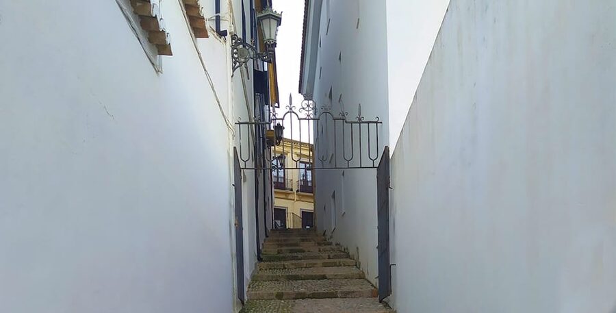 From Malaga: Ronda and Setenil Tour with Scenic Train - Choosing the two-hour guided visit