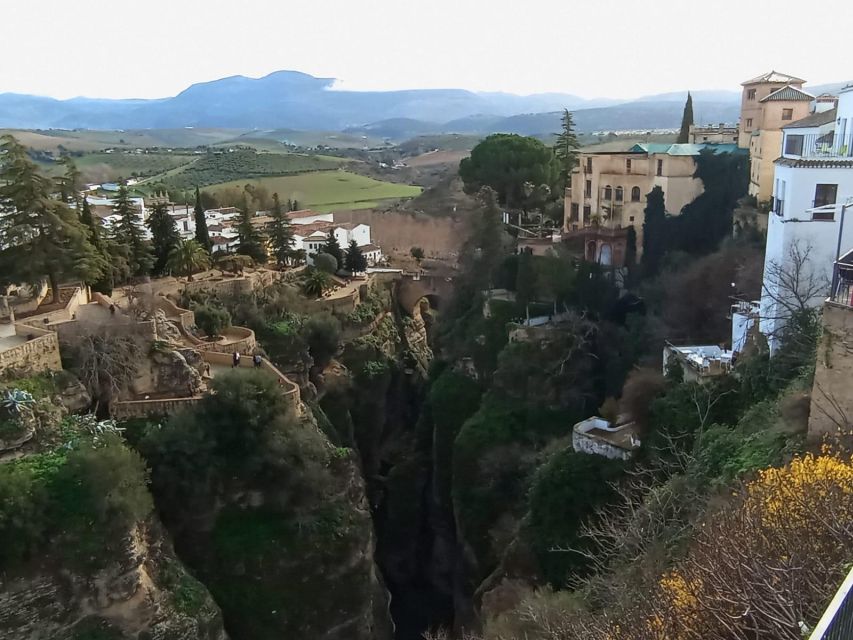 From Málaga: Ronda+Setenil de las Bodegas with Little Train - Who should book this experience?