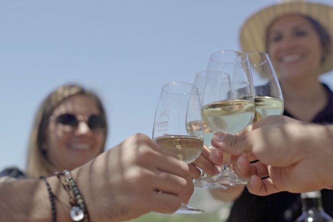 From Malaga: Ronda, Wine & Olive Oil Tasting Premium Small Group - Why this Malaga to Ronda day works