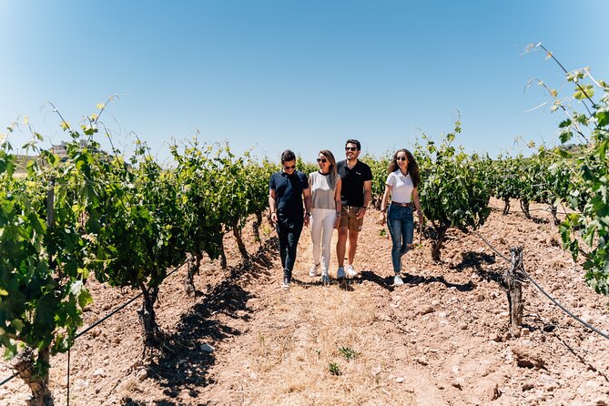 From Malaga: Ronda, Wine & Olive Oil Tasting Premium Small Group - Ronda’s old town and the Puente Nuevo