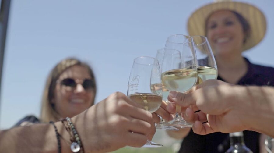From Málaga: Ronda, Wine & Olive Oil Tasting Small Group - Why Ronda makes this more than a wine outing