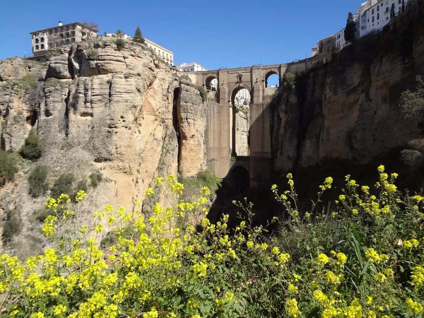 From Malaga: Ronda y Setenil de la Bodegas Day Trip by coach - Practical tips for a smoother day