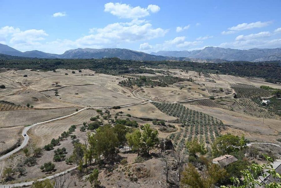 From Malaga: Ronda y Setenil de la Bodegas Day Trip by coach - Why Ronda makes this day trip worthwhile