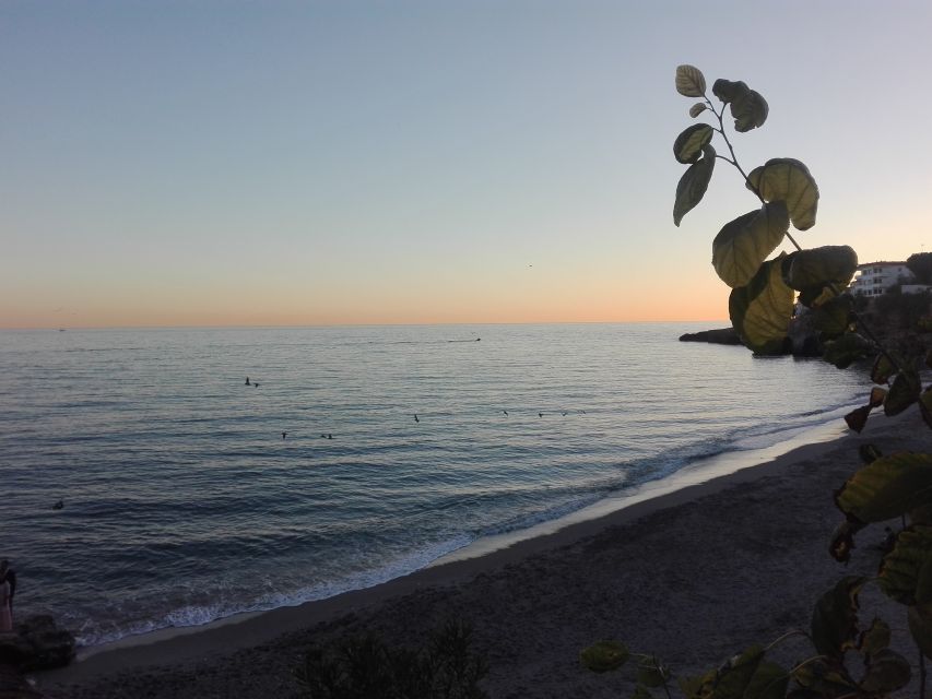 From Málaga: Skip-the-Line Nerja Cave and Frigiliana - Time for Nerja, lunch, and local flavor