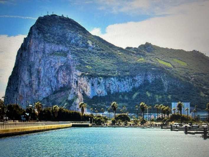 From Marbella/Estepona: VIP Gibraltar Tour Monkeys + Nature Reserve + Shopping - Why this private Gibraltar day works