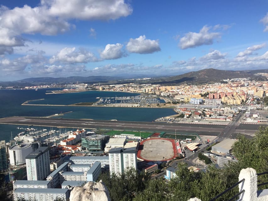 From Marbella/Estepona: VIP Gibraltar Tour Monkeys + Nature Reserve + Shopping - Meeting Gibraltar’s Barbary macaques