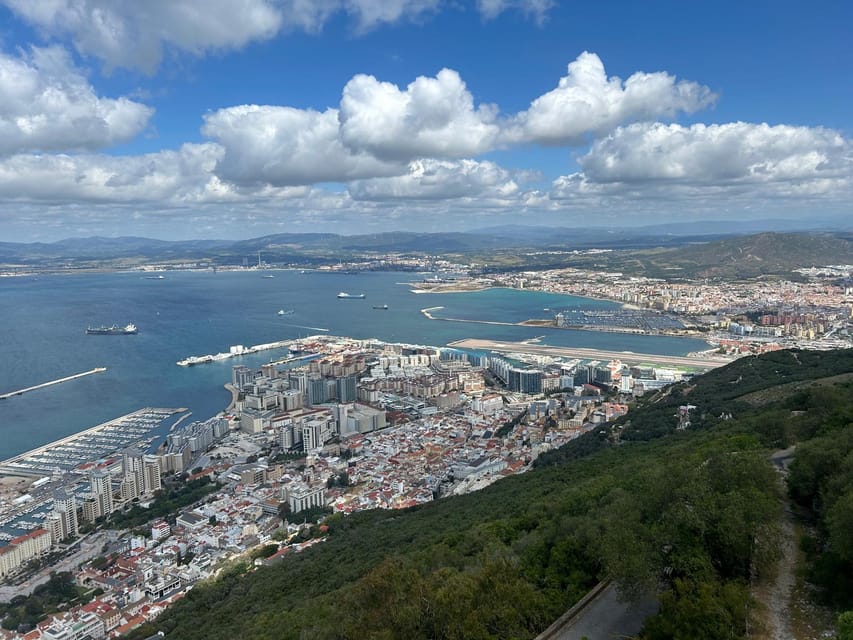 From Marbella/Estepona: VIP Gibraltar Tour Monkeys + Nature Reserve + Shopping - Returning to town for tax-free shopping