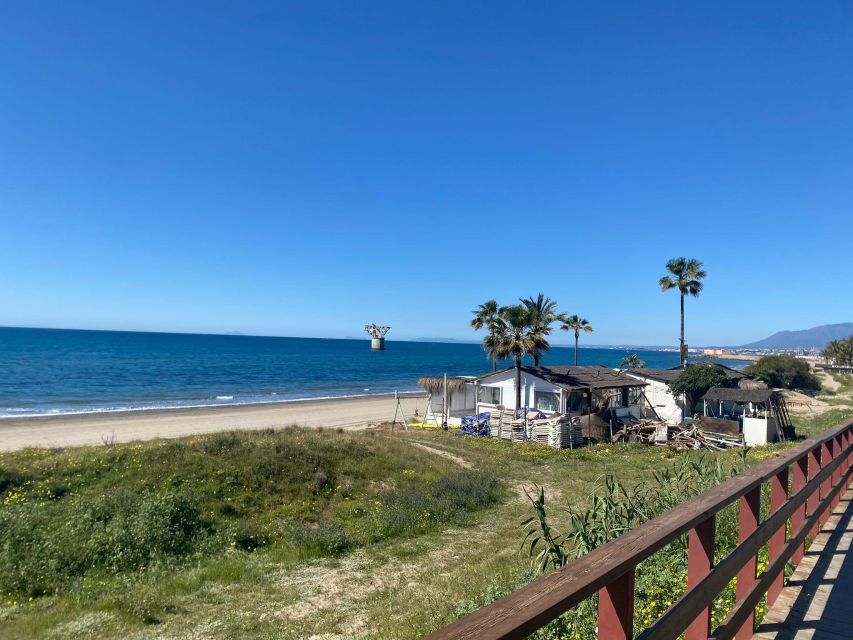 From Marbella: Guided Bicycle Tour to Puerto Banús - Along Marbella’s promenade and parks