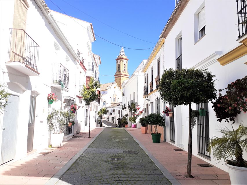 From Marbella: Guided Private Trip to Gibraltar and Estepona - Great Siege Tunnels and Moorish Castle
