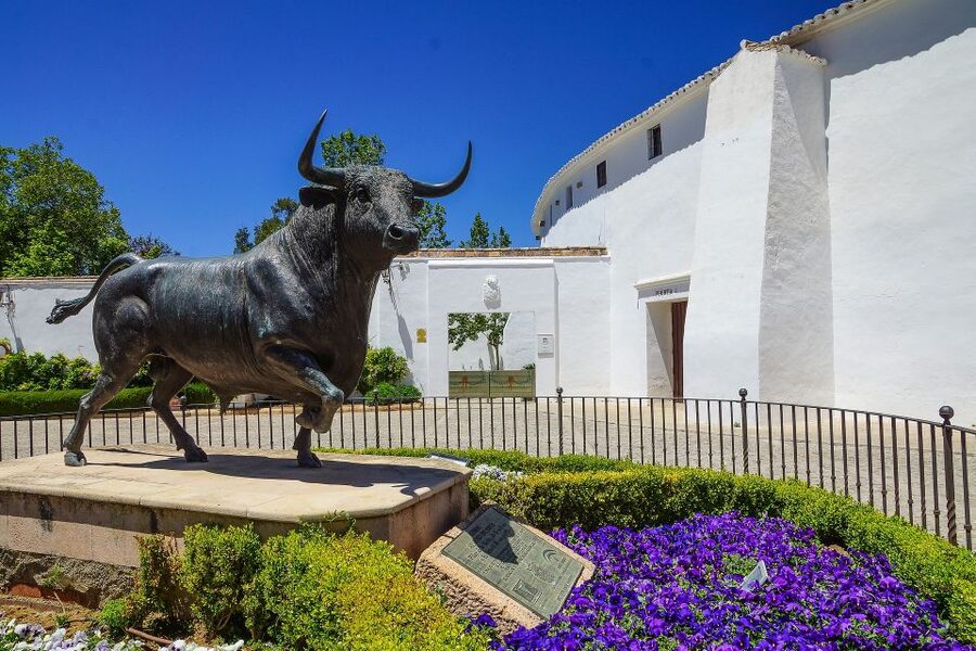 From Seville: Ronda and Setenil de Las Bodegas Private Tour - Key points to know before booking