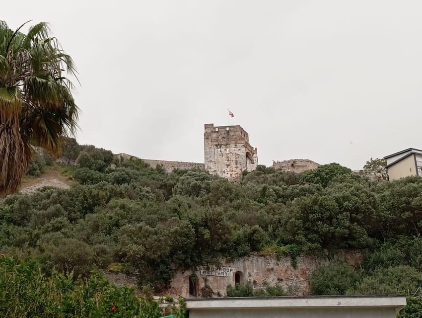 From Torremolinos: Day Trip to Gibraltar - The return journey to Torremolinos