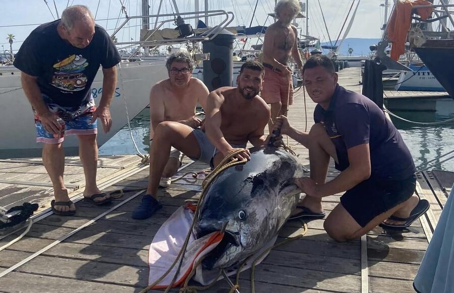Fuengirola: 4h Trolling Fishing Trip with Snacks and Drinks - Key points to know before booking