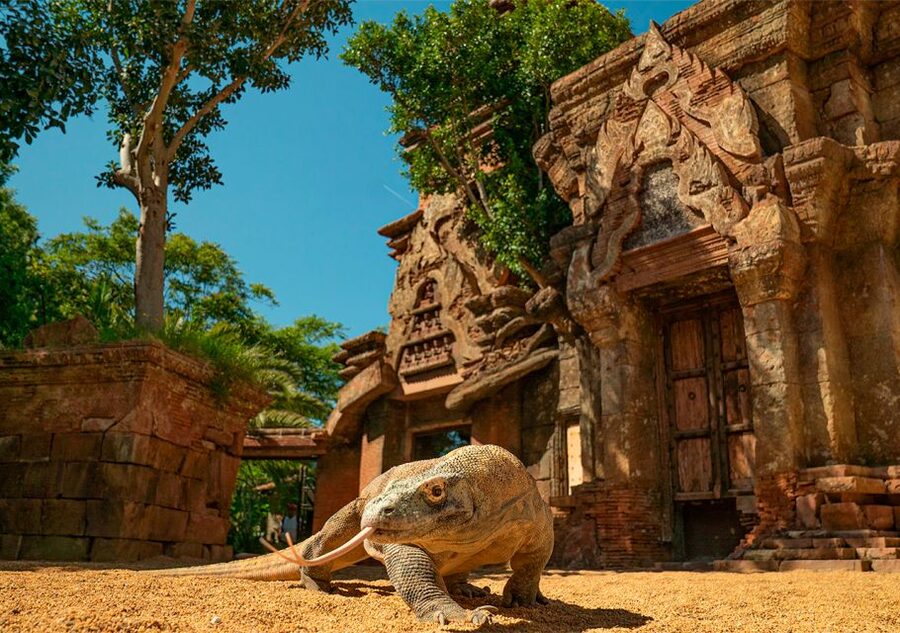 Fuengirola: Bioparc Entrance Ticket - Southeast Asia and the Indo-Pacific route