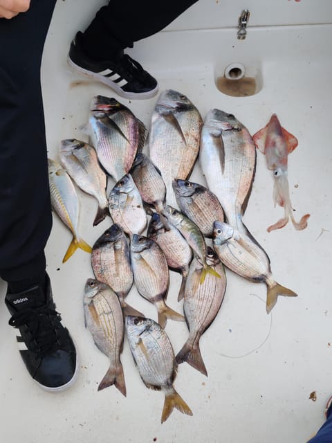 Fuengirola: Bottom Fishing with Jigging and Squid, 2, 4 and 6 hours - What happens when the fish are biting