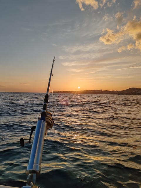 Fuengirola: Bottom Fishing with Jigging and Squid, 2, 4 and 6 hours - Taking your catch back to Fuengirola